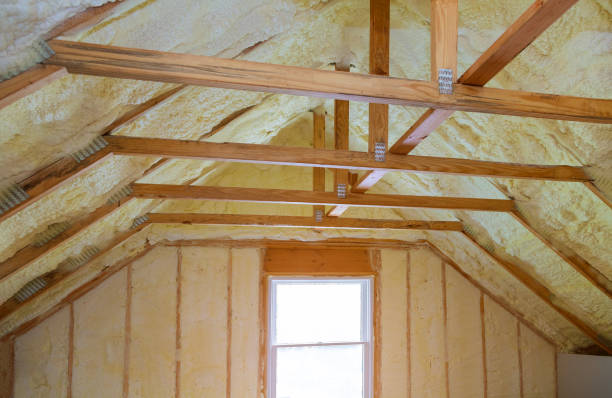 Best Spray Foam Insulation in Edinburg, IL