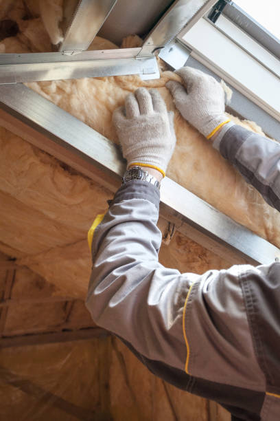 Best Spray Foam Insulation in Edinburg, IL