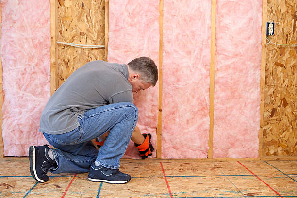 Best Commercial Insulation in Edinburg, IL